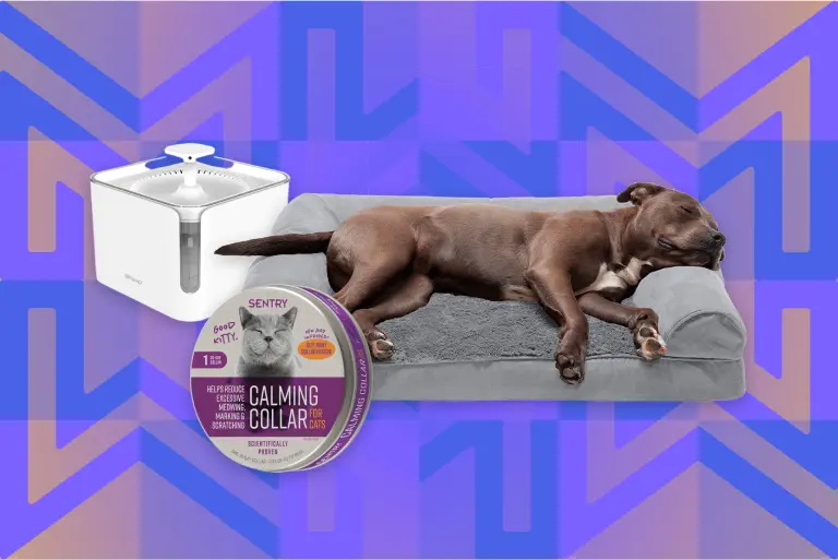 The Best Pet Beds and Accessories According to the MYMOVE Pets