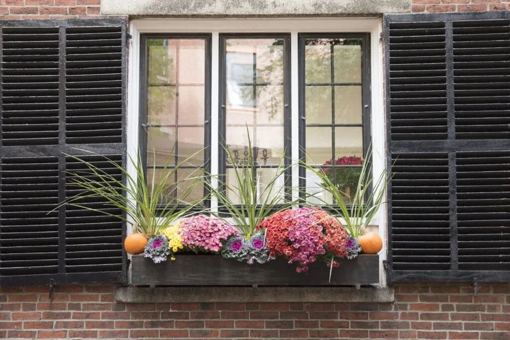 Best Windowboxes of 2021