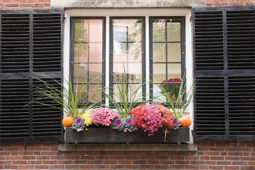 Best Windowboxes of 2021