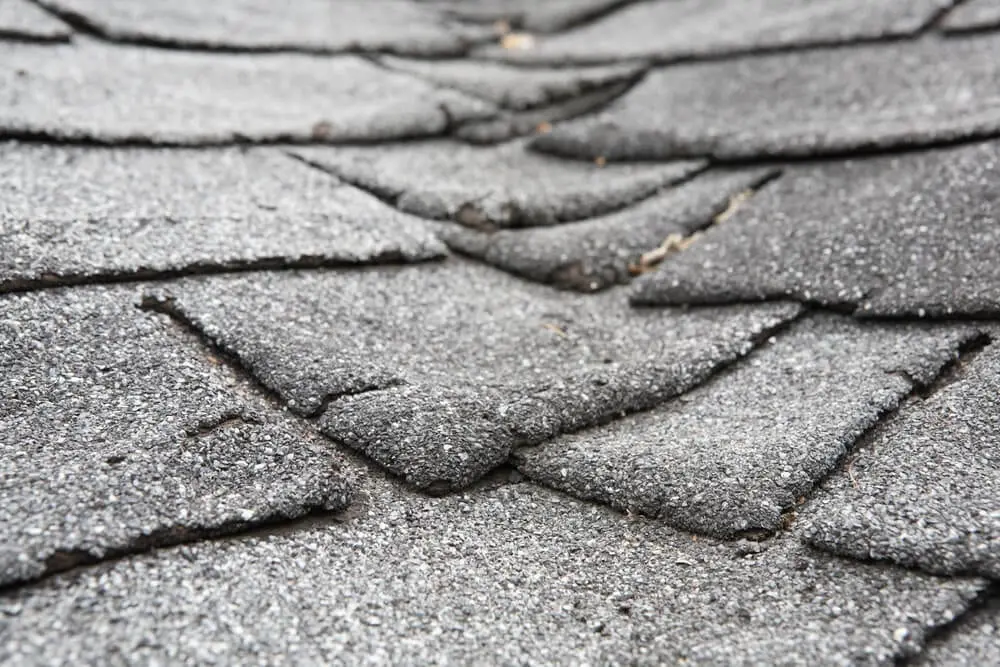 3 Early Signs That You Need to Replace Your Roof