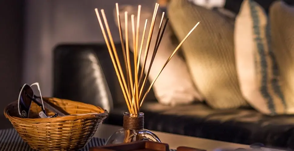 4 Decorative Elements That'll Relax Your Moving Mind