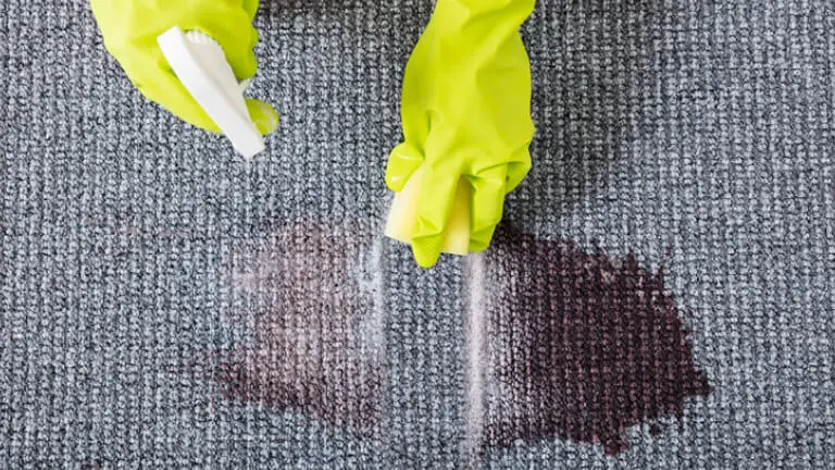 How to Get Blood Out of Carpet With Everyday Items