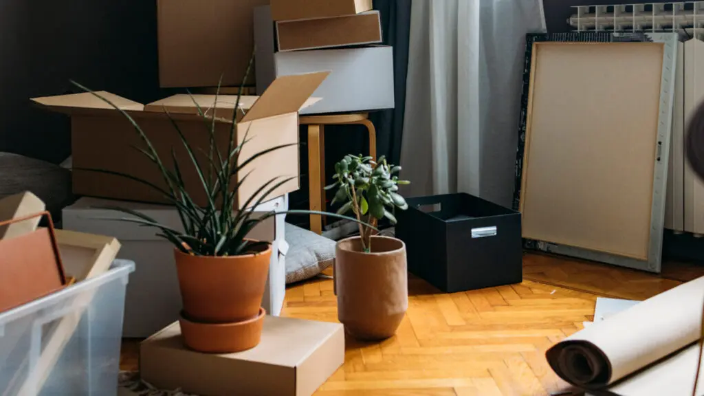 Why Moving Always Costs More Than You Think