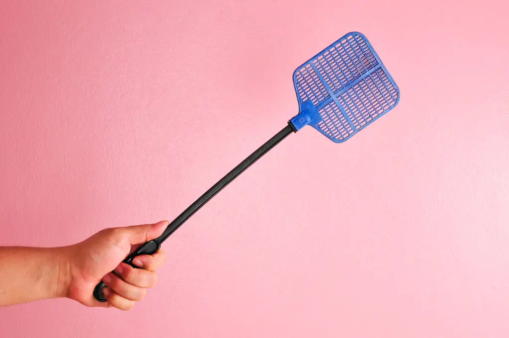 How to Get Rid of Flies Quickly and Effectively