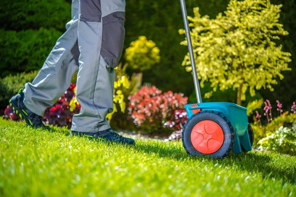 How to Reseed or Overseed a Lawn in 6 Easy Steps