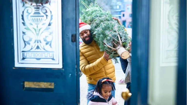 How to Set Up and Care For a Live Christmas Tree