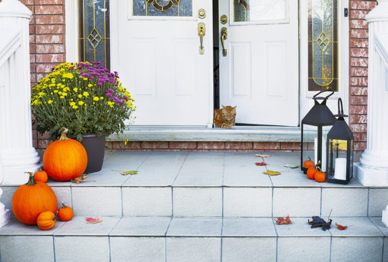 27 Fall Front Porch Ideas to Make Your Neighbors Jealous in 2024