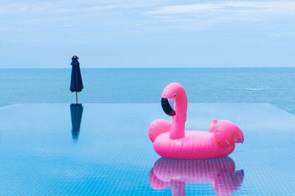 go flamingo pool