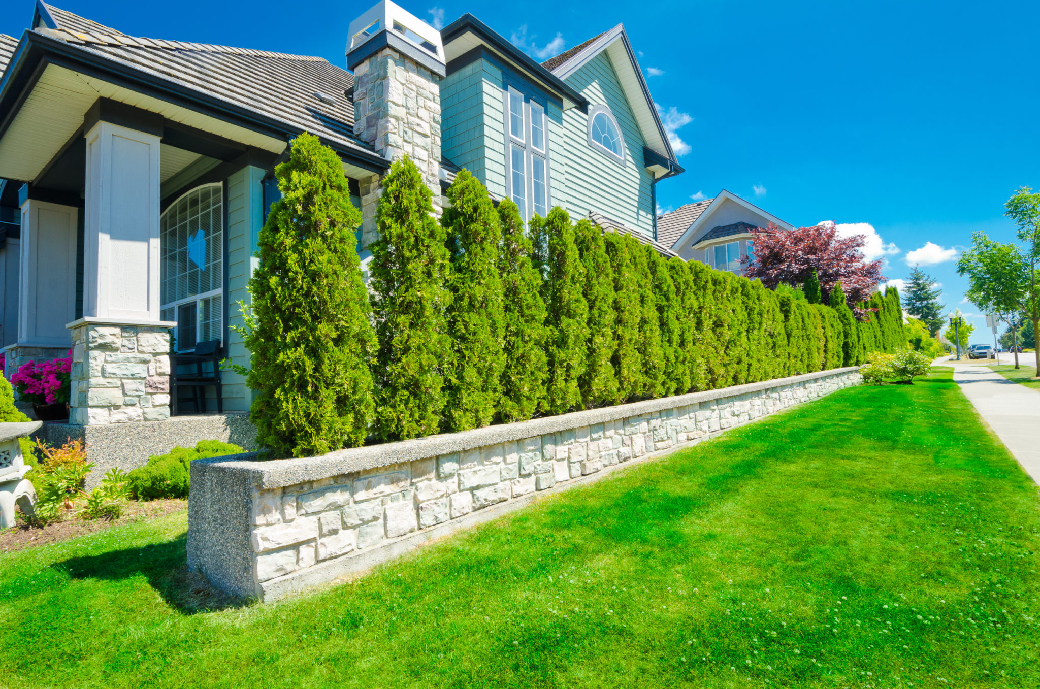 25 Cheap Landscaping Ideas That Fit Your Budget MYMOVE   Hedges Romakoma Shutterstock 2048x1357 