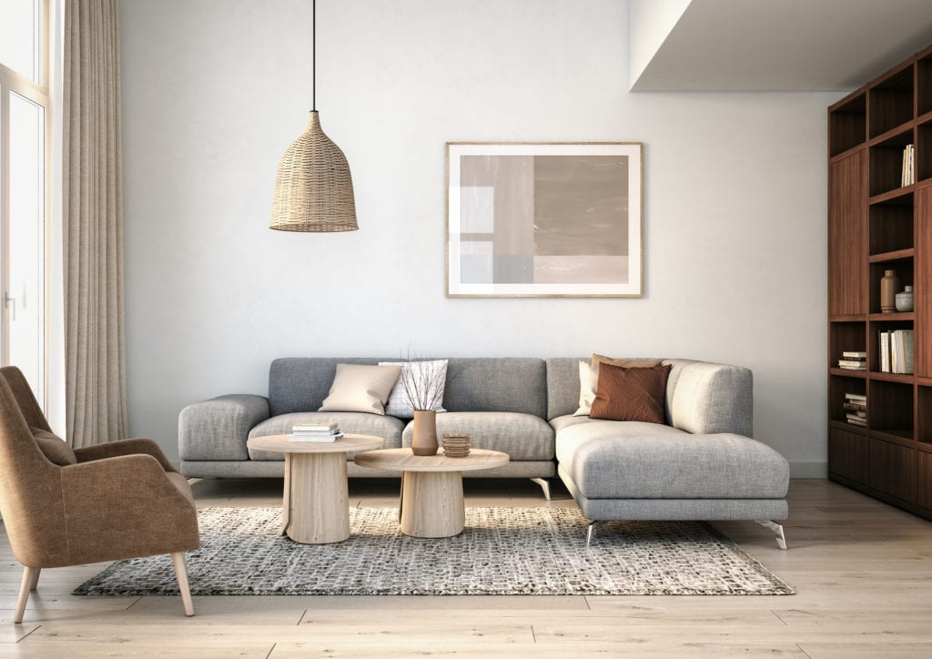 scandanavian living room grey couch