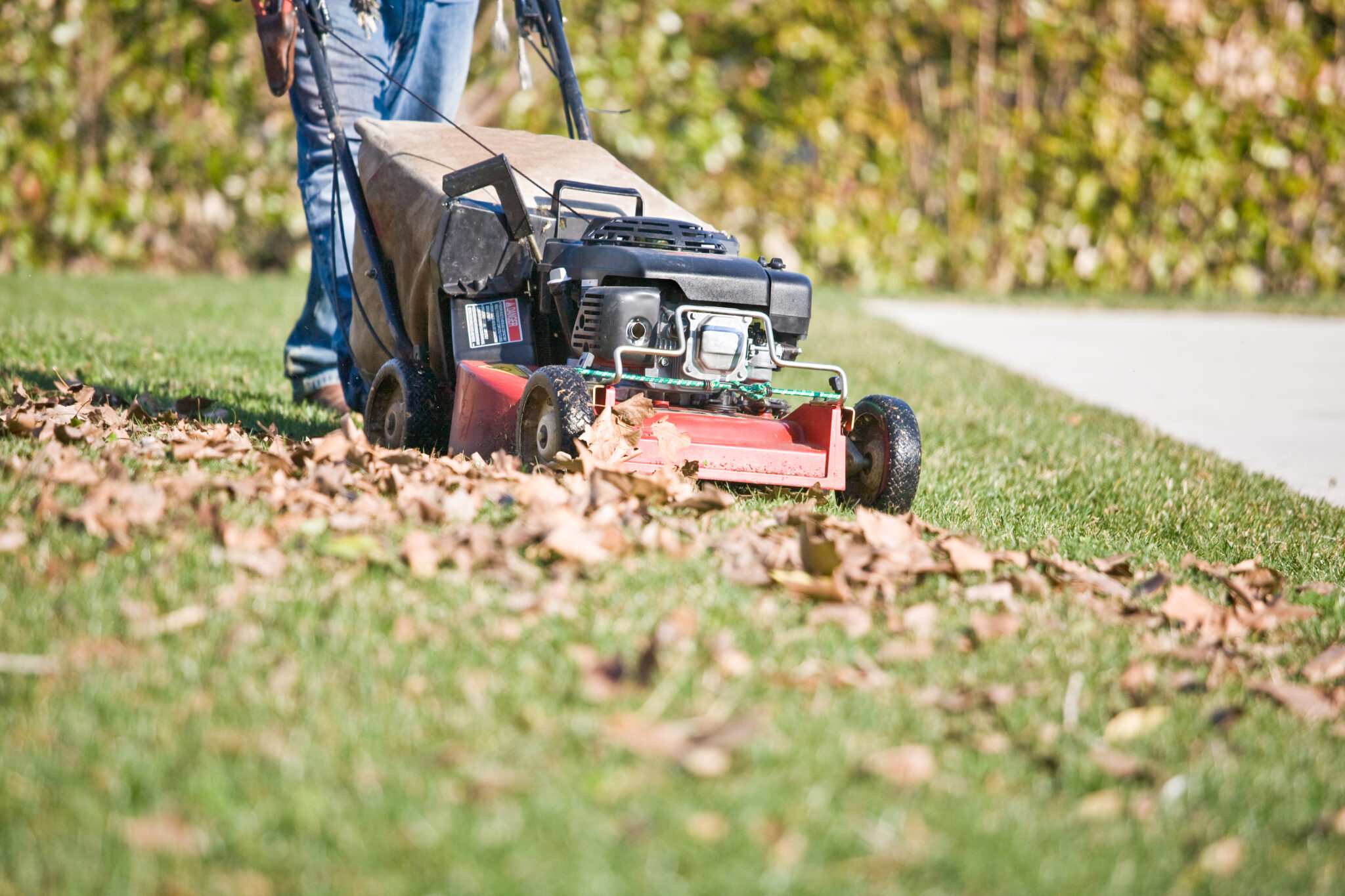 the-best-way-to-sustainably-pick-up-leaves-mymove