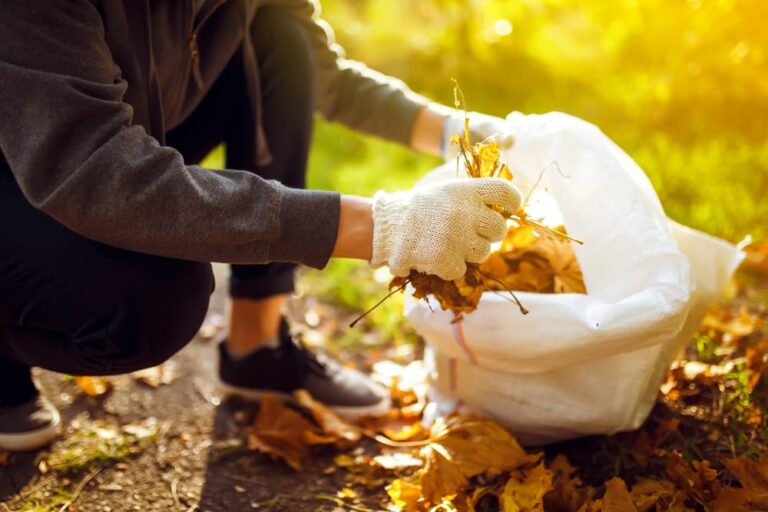 4 Best Ways to Get Rid of Leaves This Fall | MYMOVE