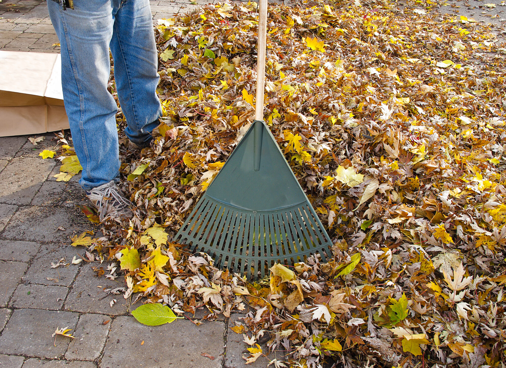 How To Get Rid Of Leaves